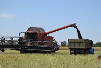 Українські аграрії експортували майже 26 мільйонів тонн зернових