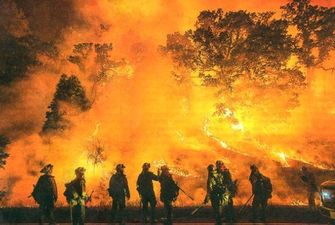 В Амазонскому лесу — рекордное количество пожаров