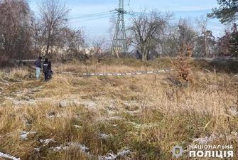 Расчленили и сожгли: под Киевом нашли останки 23-летней девушки из Закарпатья