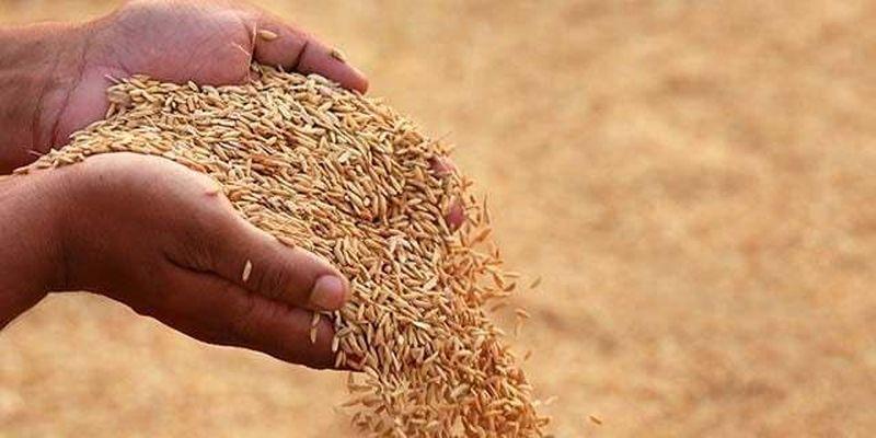 МЗС РФ висунуло умови для продовження зернової угоди