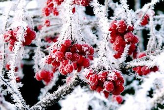 Погода на 4 грудня: зимова казка скасовується