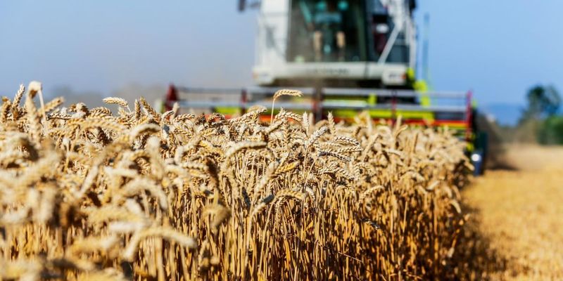 Венгрия введет новые ограничения на импорт украинской агропродукции