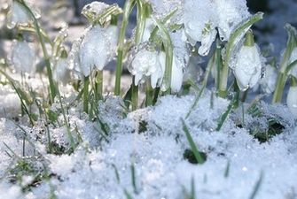 В Украину идет жара и сменится снегом с дождем