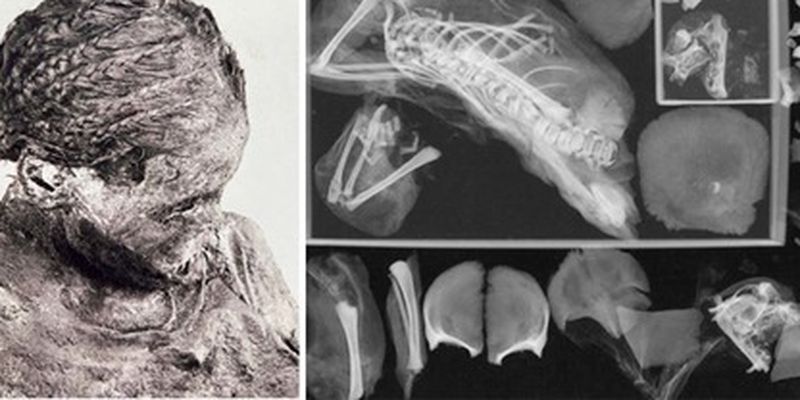 Мумия мамы-подростка скрывала ужасную тайну: ученые совершили открытие и показали фото