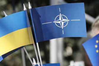 Литва снова предложит НАТО предоставить Украине ПДЧ