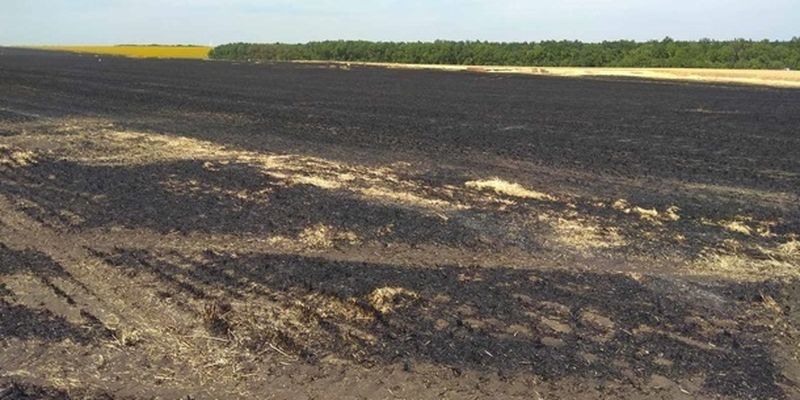 На Черкассчине нанесли ущерб экологии на 24 млн грн