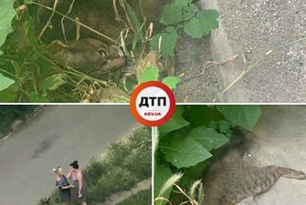 В Киеве беременная девушка совершила жуткое убийство: опубликованы фото