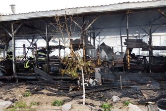 Под Днепром сгорел бар: огонь уничтожил кухню и летнюю террасу