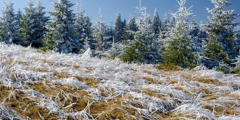 Зима близко: появились яркие фото со снегом из украинских Карпат