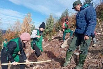Завершили весняну лісокультурну кампанію на Буковині