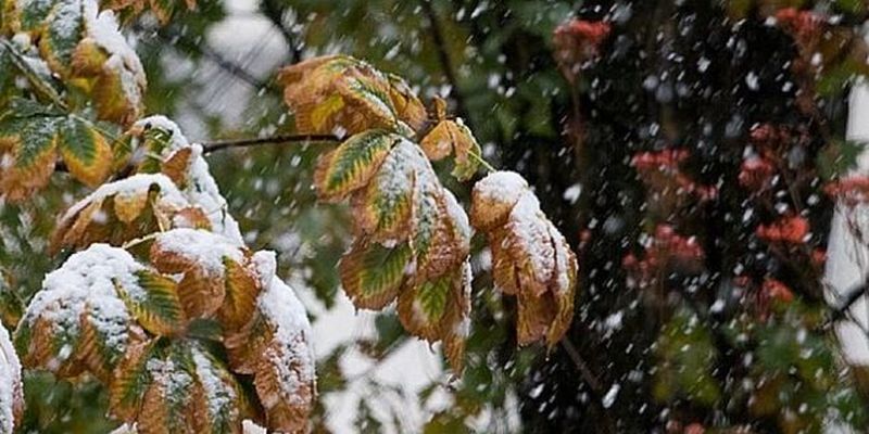Мороз и снег: синоптик уточнила прогноз погоды в Украине