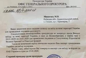 Микитася сняли с рейса в "Борисполе": назвала цель выезда экс-депутата