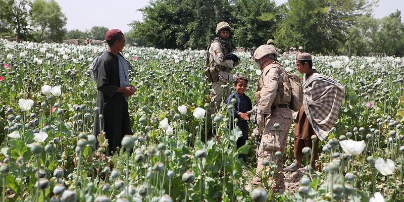 Афганистан уже не лидер по производству опиума: в ООН сказали, кто занял его место