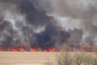 В Одесской области в Национальном природном парке произошел масштабный пожар