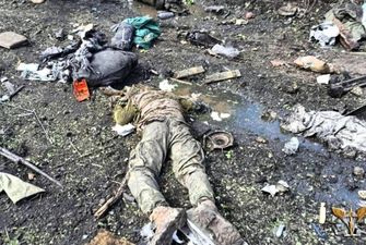 Арестович: ВСУ уничтожили пять общевойсковых армий рф