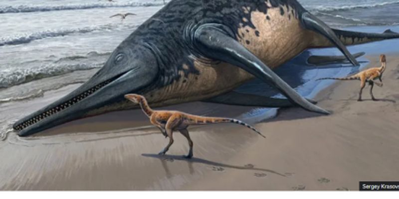 Гигантский морской монстр: ученые обнаружили самую древнюю рептилию, которая когда-либо существовала