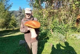 В Карпатах нашли гриб весом 3 килограмма