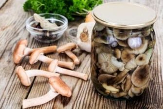 Рецепт самой вкусной грибной закуски на зиму