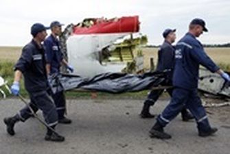 "Веские признаки". Причастность Путина к крушению MH17