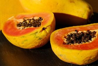 Экзотические фрукты в теплице: садовник из Черновицкой области нашел способ выращивать авокадо, кофе, имбирь и папайю