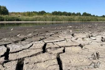 У Кіровоградській області жителі кількох сіл потерпають від посухи