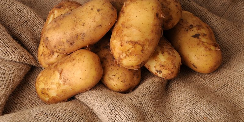 В Україні на 17% подешевшала картопля