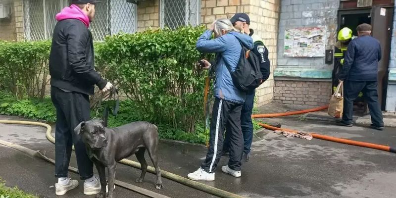 В Киеве спасатели вынесли из горящей квартиры более десяти собак и котов