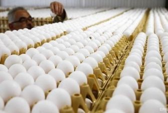 Украина впервые за годы независимости импортировала яйца из Беларуси