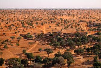 Углерод и в Африке углерод: ученые смогли оценить его количество в африканских деревьях