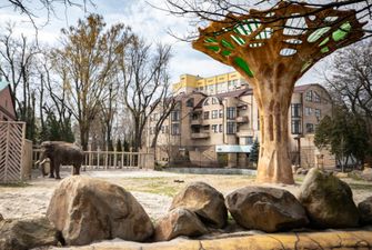 Киевский зоопарк пока не принимает посетителей