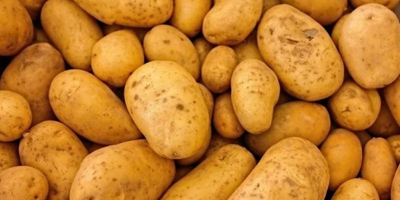Эксперты рассказали, в каких случаев категорически нельзя есть картошку