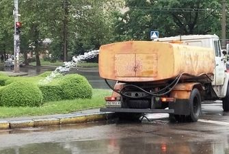 В Киеве поливали клумбы во время дождя. Видео