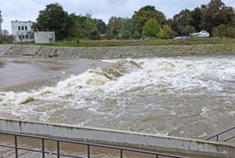 Власти Польши обещают миллион злотых за данные о виновниках загрязнения реки Одер