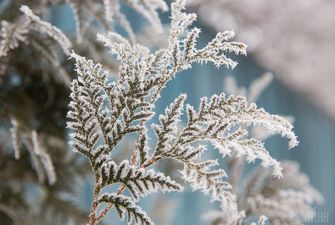 Морозы крепчают: в четверг температура в Украине опустится почти до -10°