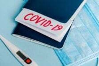 Шмыгаль уточнил сроки введения Covid-паспортов в Украине