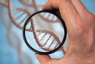 "Гадание на генах": найден способ определить продолжительность жизни