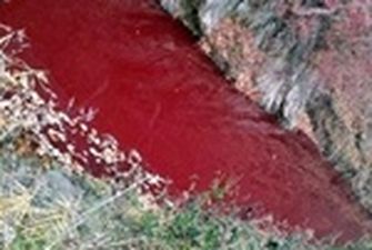 Река в Южной Корее покраснела из-за крови убитых свиней