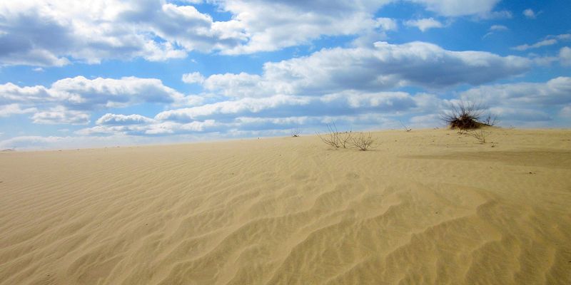 Часть Украины может превратиться в пустыню: ученый рассказал об изменении климата