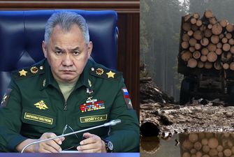 Країна злодіїв: Путін і Шойгу підписали указ про вирубку і продаж українських лісів 
