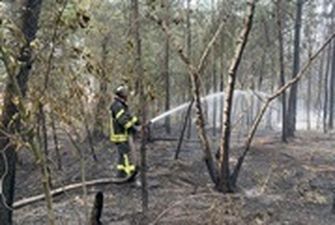 Пожары на Луганщине: рассматривают три версии