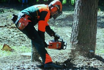Вінницького лісника "покарали" дерева, медики збирають по частинам: моторошні подробиці НП