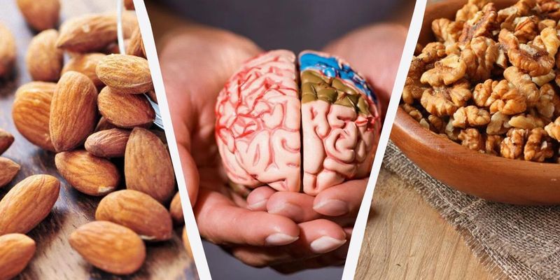 Доктор назвал три лучших ореха для здоровья мозга