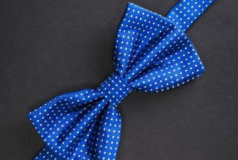 «Горошковое» настроение: спикер Рады надел галстук за 3000 гривен