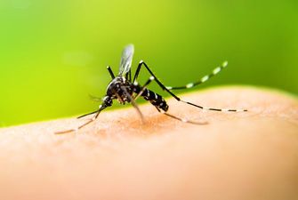 Экстренные лайфхаки: как избавиться от зуда после комариных укусов?