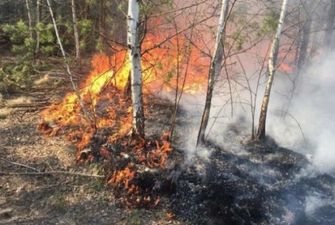Спасатели предупредили о пожарной опасности в 14 областях Украины