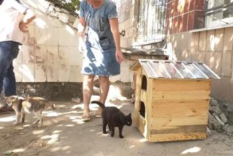 Школярі власноруч роблять дерев'яні будиночки для бездомних котів – фото