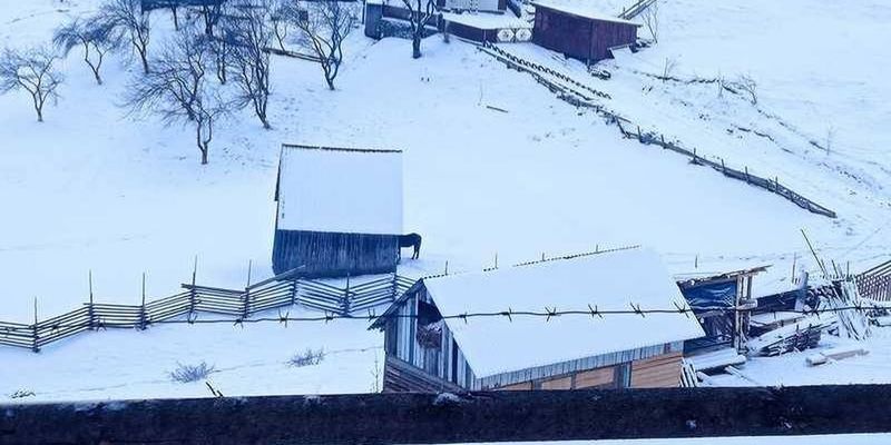 Зима вернулась: Карпаты и Буковину в марте замело снегом, фото