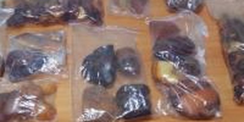 На границе с Беларусью правоохранители обнаружили 7 кг янтаря