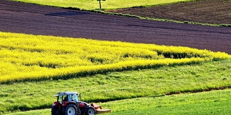 Участниками рынка земли в Украине выступают от 1% до 3% фермеров
