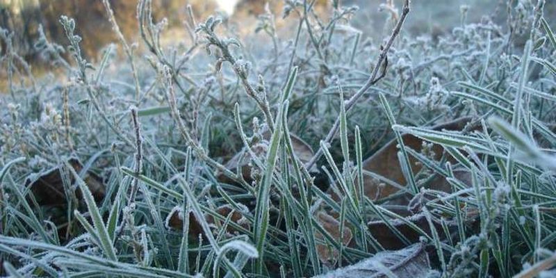 В Україні вдарять морози з вітрами і туманами: прогноз погоди на 15 січня